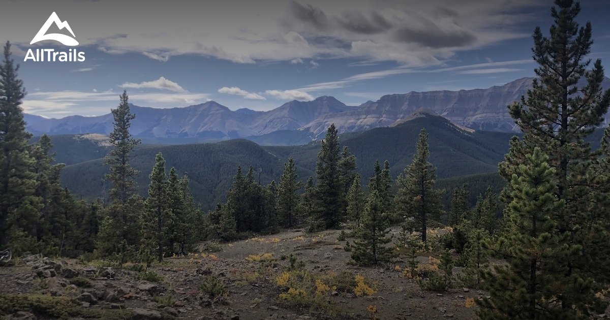 Volcano Ridge Trail South Volcano Ridge - hikes and trails to get you there | AllTrails