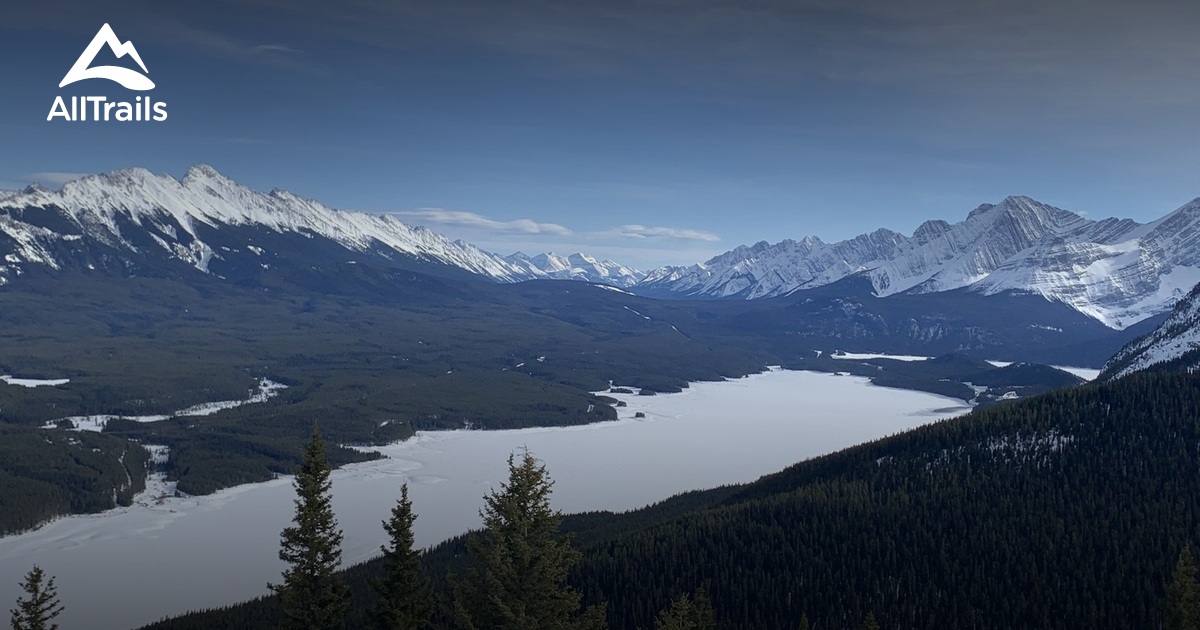Gypsum Ridge - hikes and trails to get you there | AllTrails