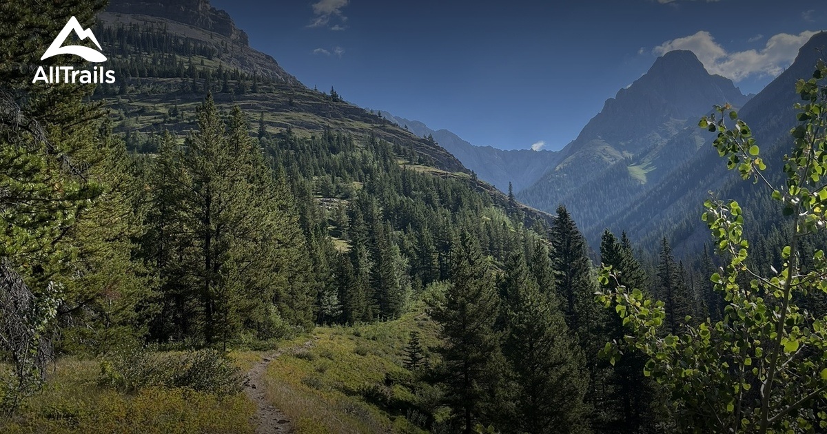 Grizzly Peak - hikes and trails to get you there | AllTrails
