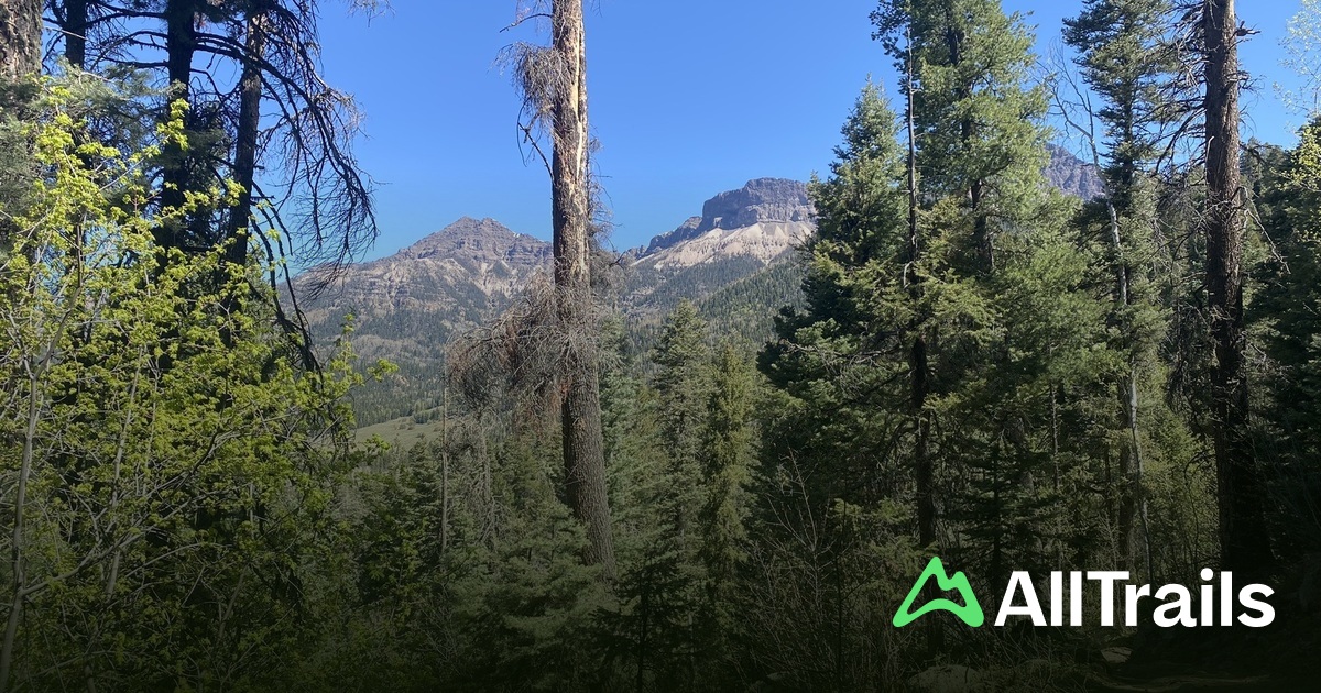 Divide Lakes hikes and trails - Us Colorado Pagosa Springs Divide Lakes 734272 20250321155847513679 1200x630 3 41742687243 