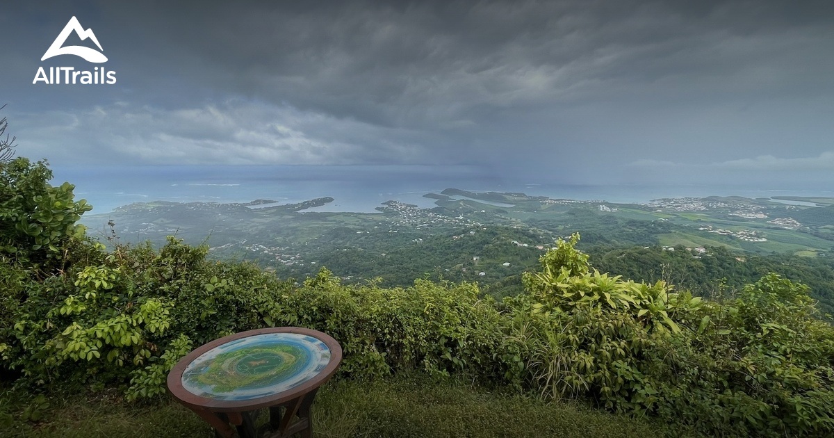 Best trails near Montagne du Vauclin AllTrails