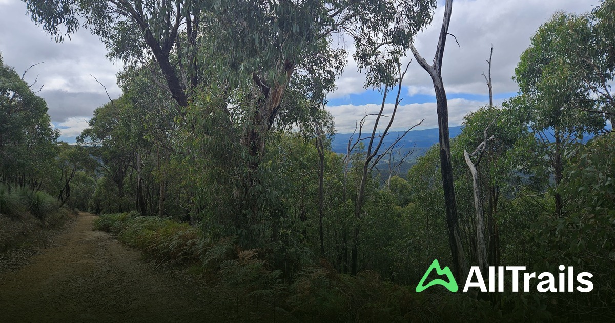 Cookson Hill - hikes and trails to get you there | AllTrails