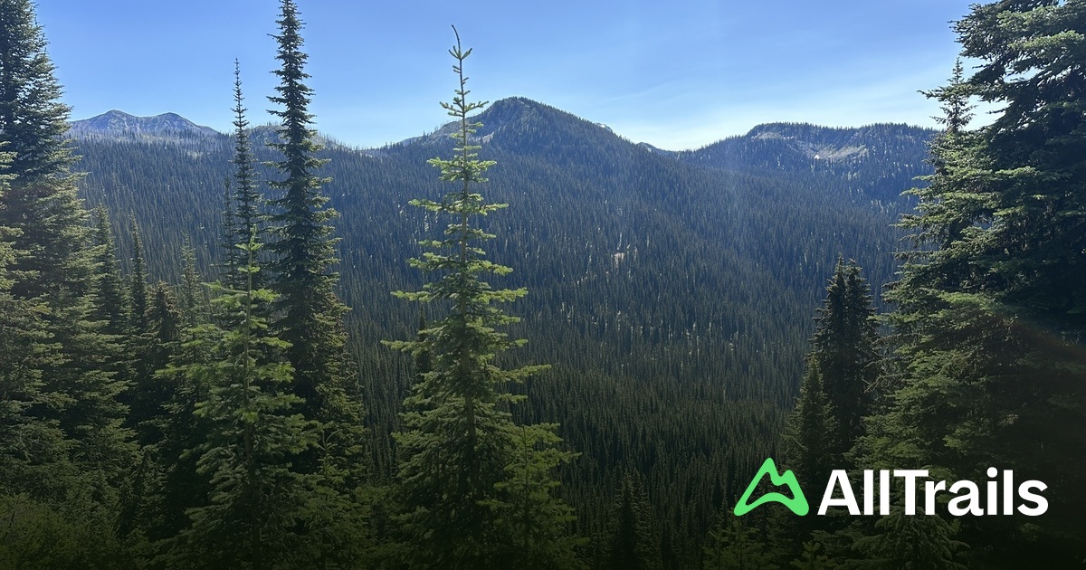 Mount Beaven - hikes and trails to get you there | AllTrails