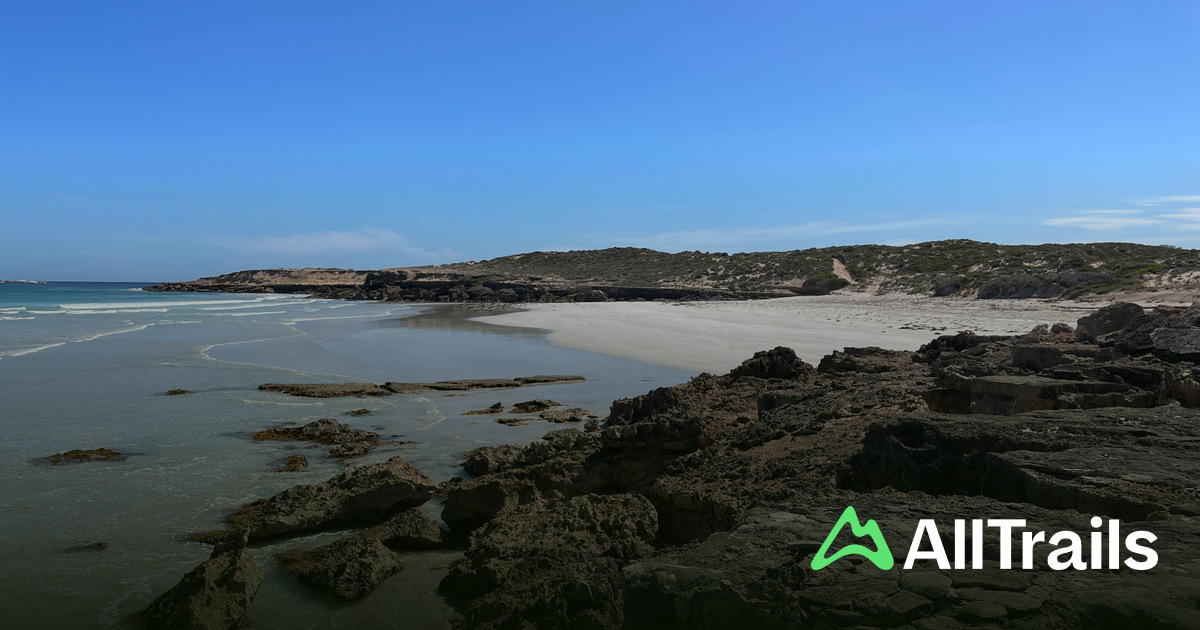 Berry Bay : les meilleures randonnées | AllTrails