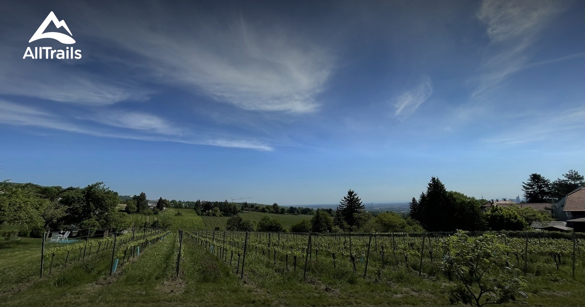 Pfaffenberg Pfaffenberg - hikes and trails to get you there | AllTrails