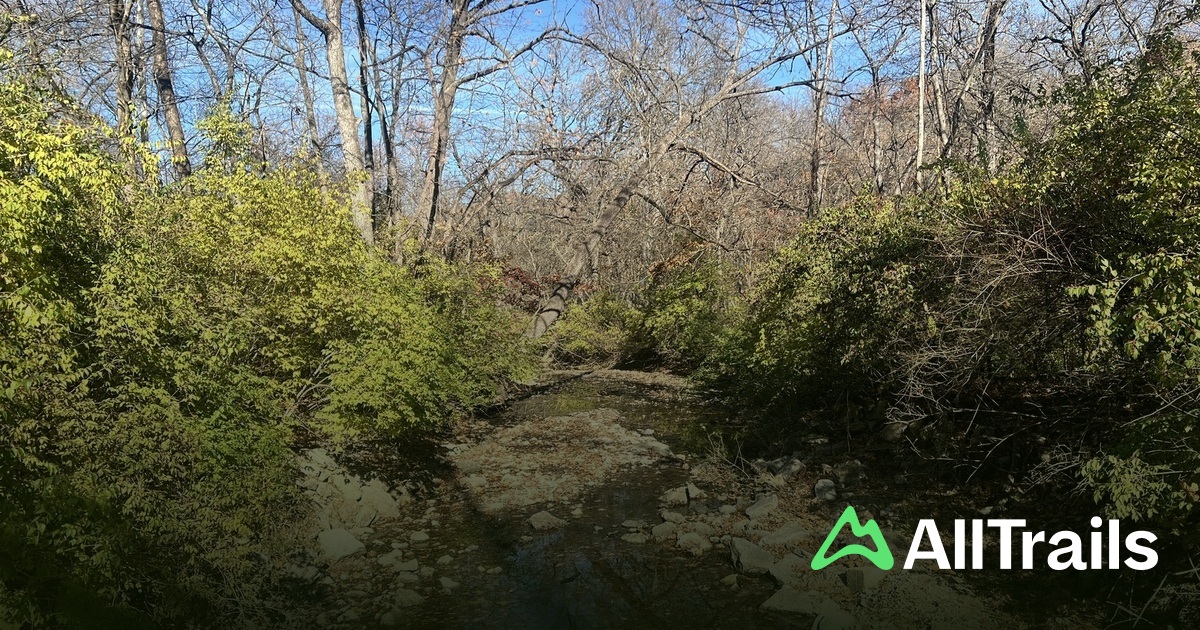 Lake Charles R. Fillmore : les meilleures randonnées | AllTrails
