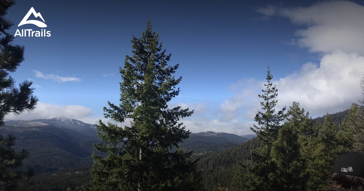 Mount Riddell - hikes and trails to get you there | AllTrails