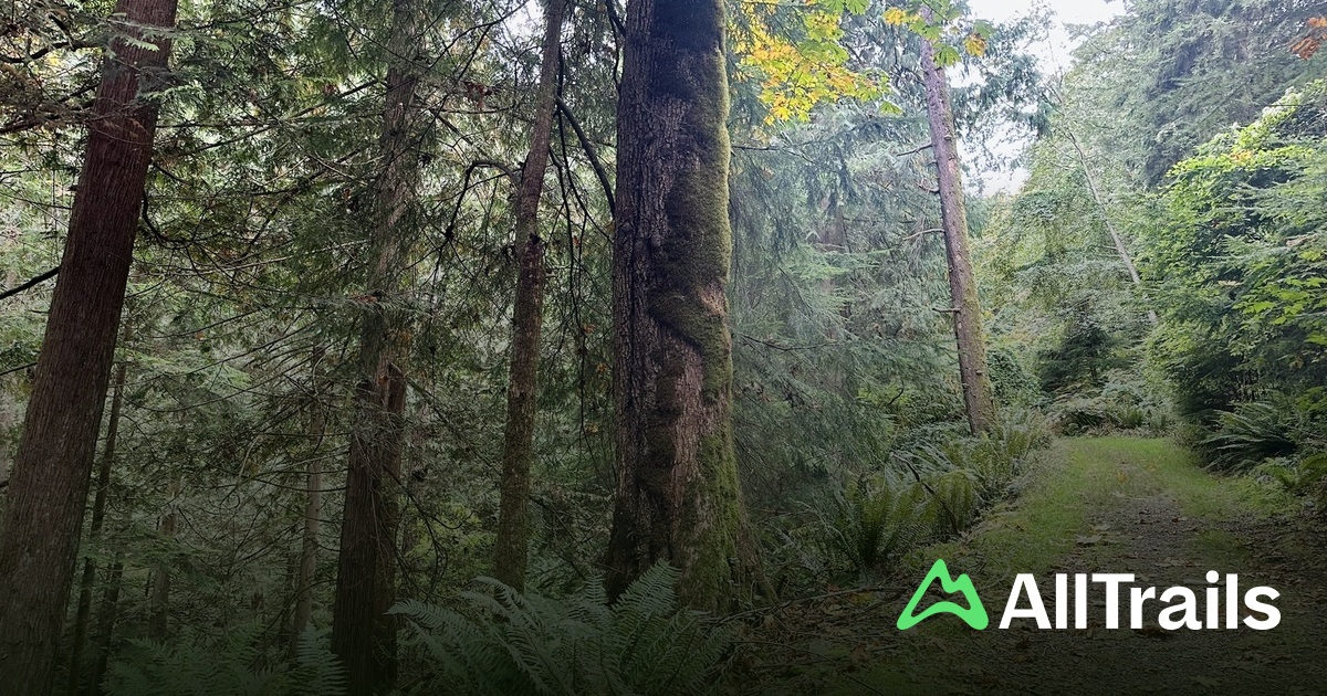 Valhalla Ridge Lookout hikes - Canada British Columbia Bowen Island Valhalla Ridge Lookout 796631 20250204210706307971 1200x630 3 41738765641 
