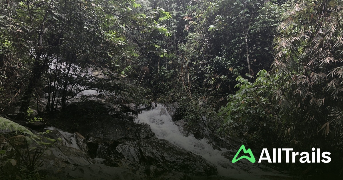 Acu Templer Templer Waterfall (Upper Tier) - hikes and trails to get you there ...