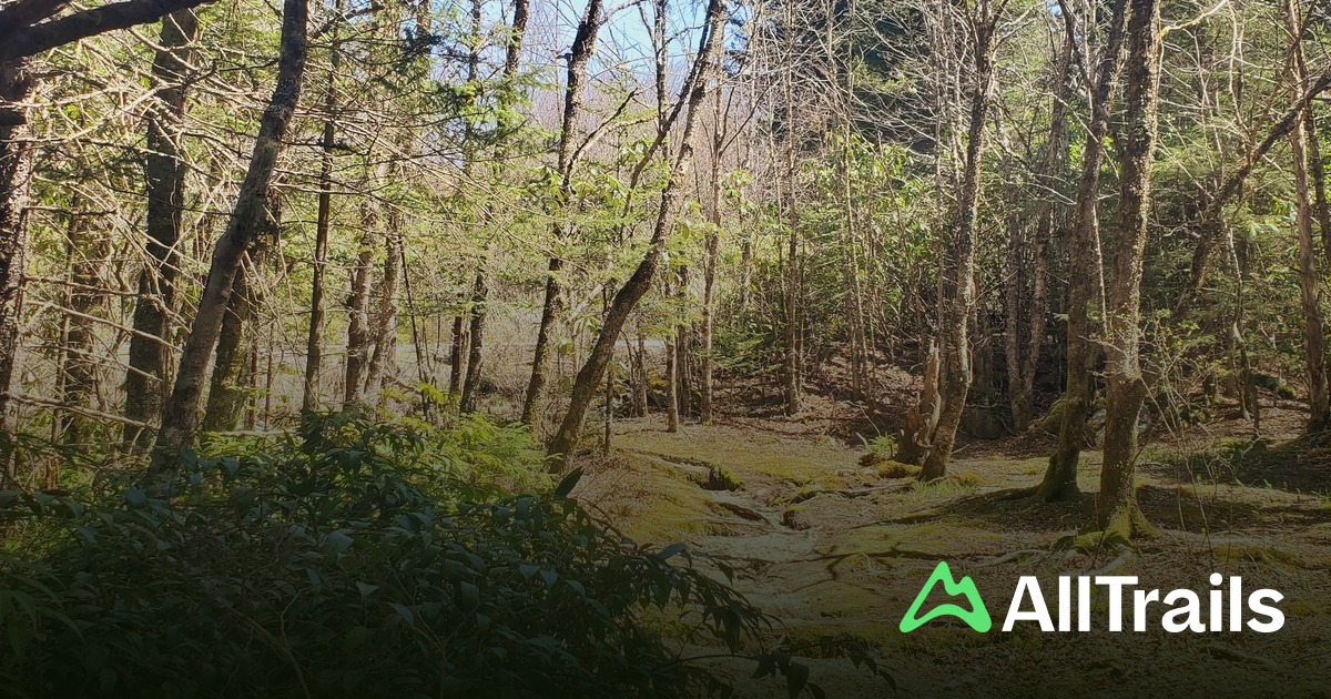 Lower Bubbling Spring Branch Falls - hikes and trails to get you there ...
