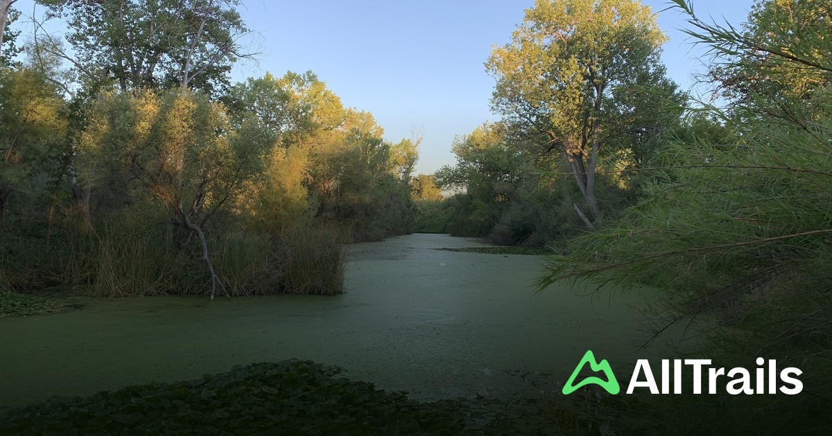 Shadow Cliffs Boat Ramp Shadow Cliffs Beach - hikes and trails to get you there | AllTrails
