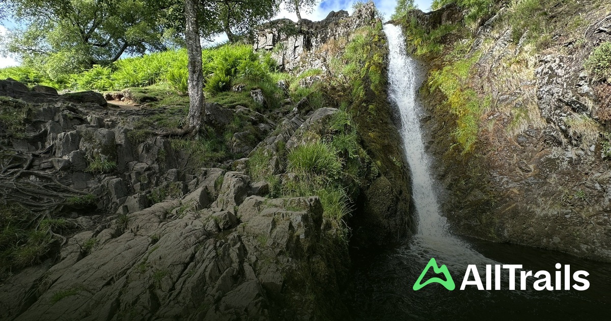 Best trails near Linhope Spout Waterfall | AllTrails