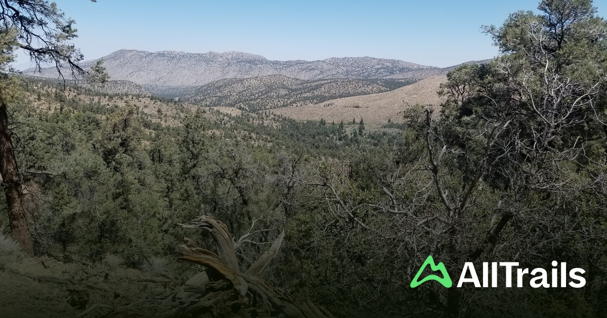 Dorman Ridge Deadmans Ridge - hikes and trails to get you there | AllTrails