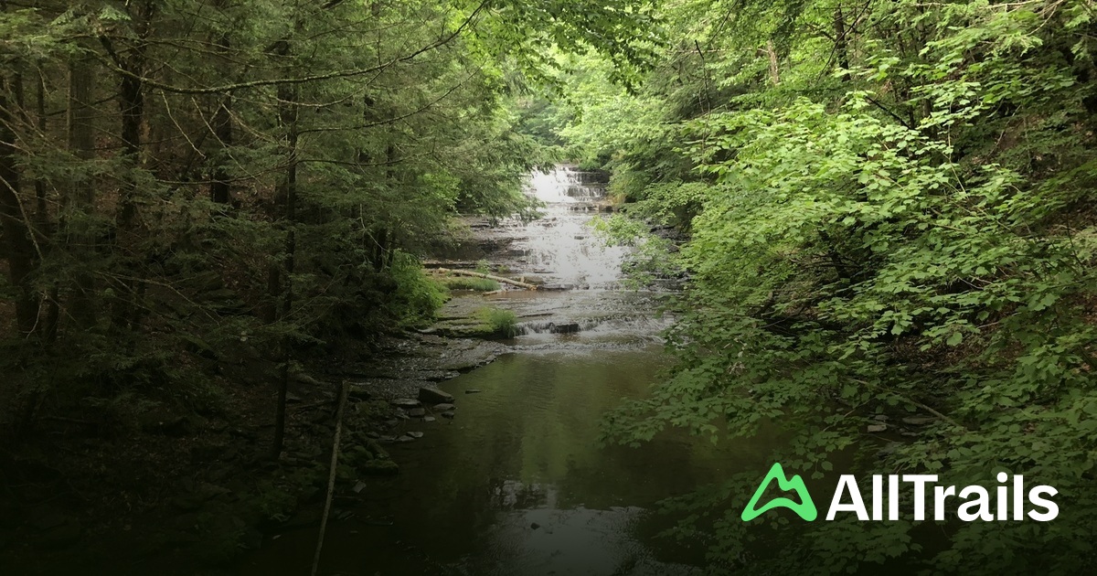 Best trails near Rensselaerville Lower Falls AllTrails