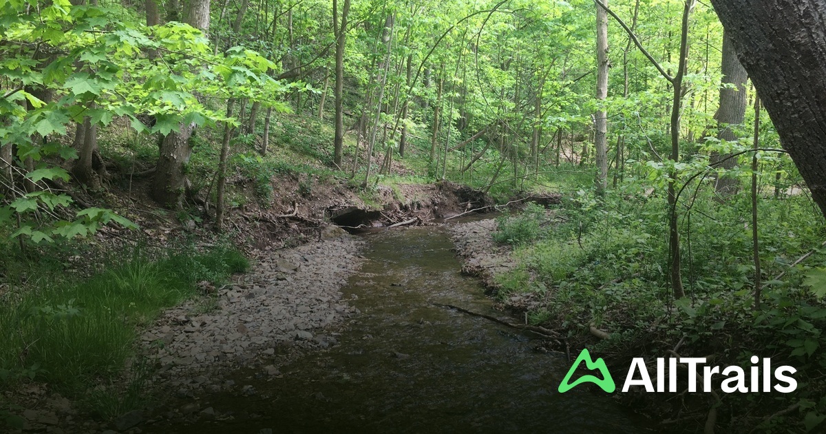 Cheswick Emergency Ash Pond - hikes and trails to get you there | AllTrails