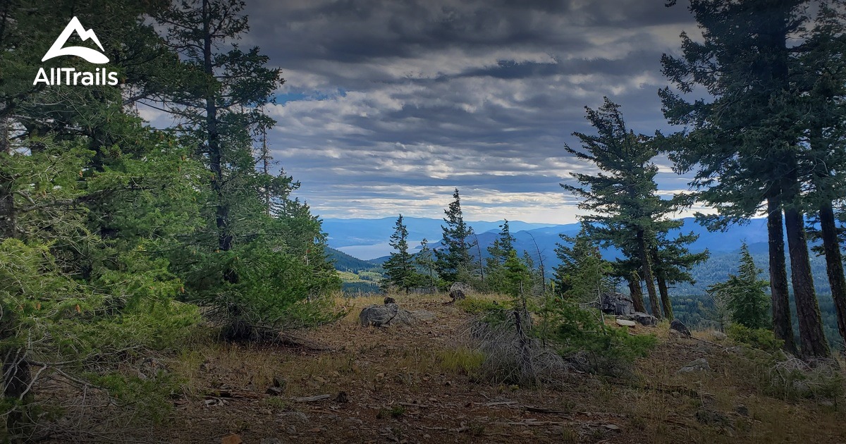 Best trails near Mount Wilson AllTrails