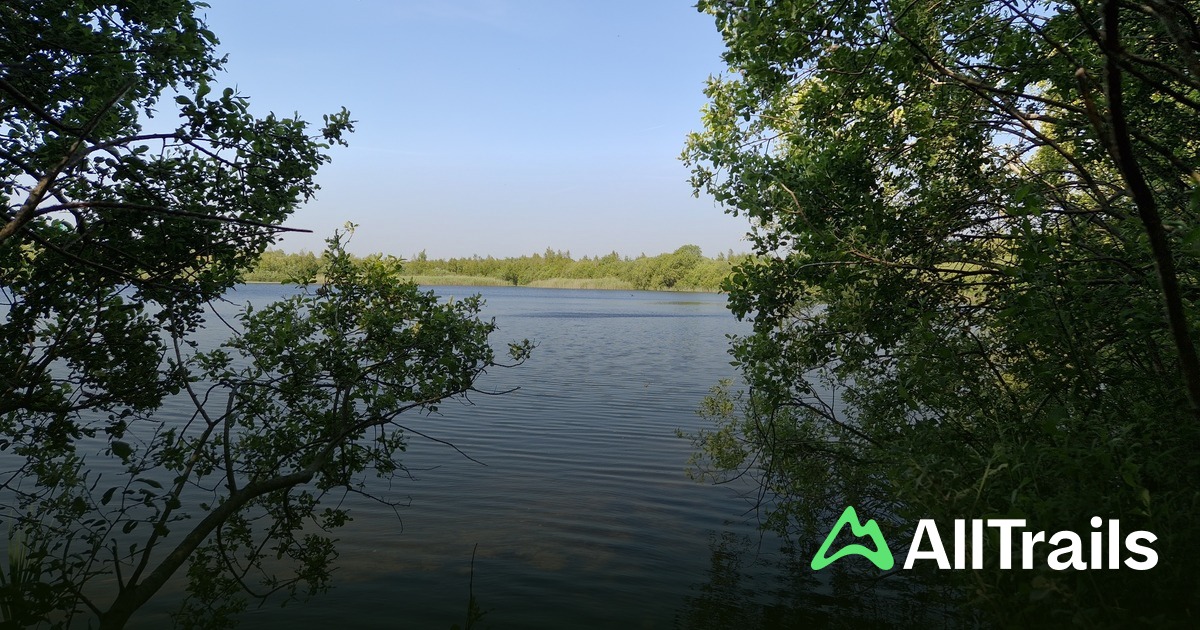 Holtbjerg Sø Badestrand - hikes and trails to get you there | AllTrails