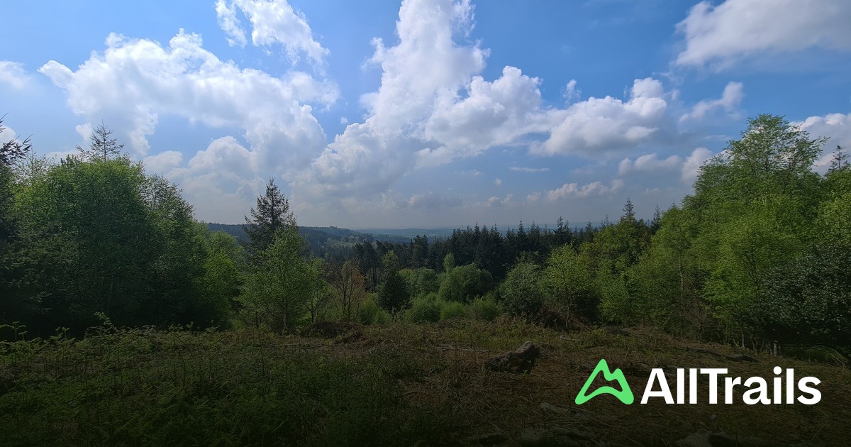 Haldon Belvedere (Lawrence Castle) - hikes and trails to get you there ...