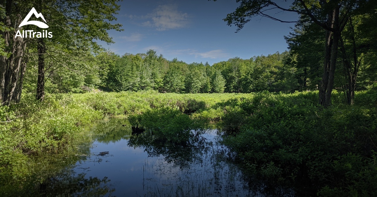 Best trails near Salmon Lake Lookout AllTrails