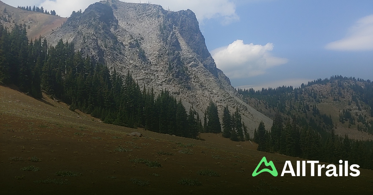 Patsy Lake Patsy Lake - hikes and trails to get you there | AllTrails