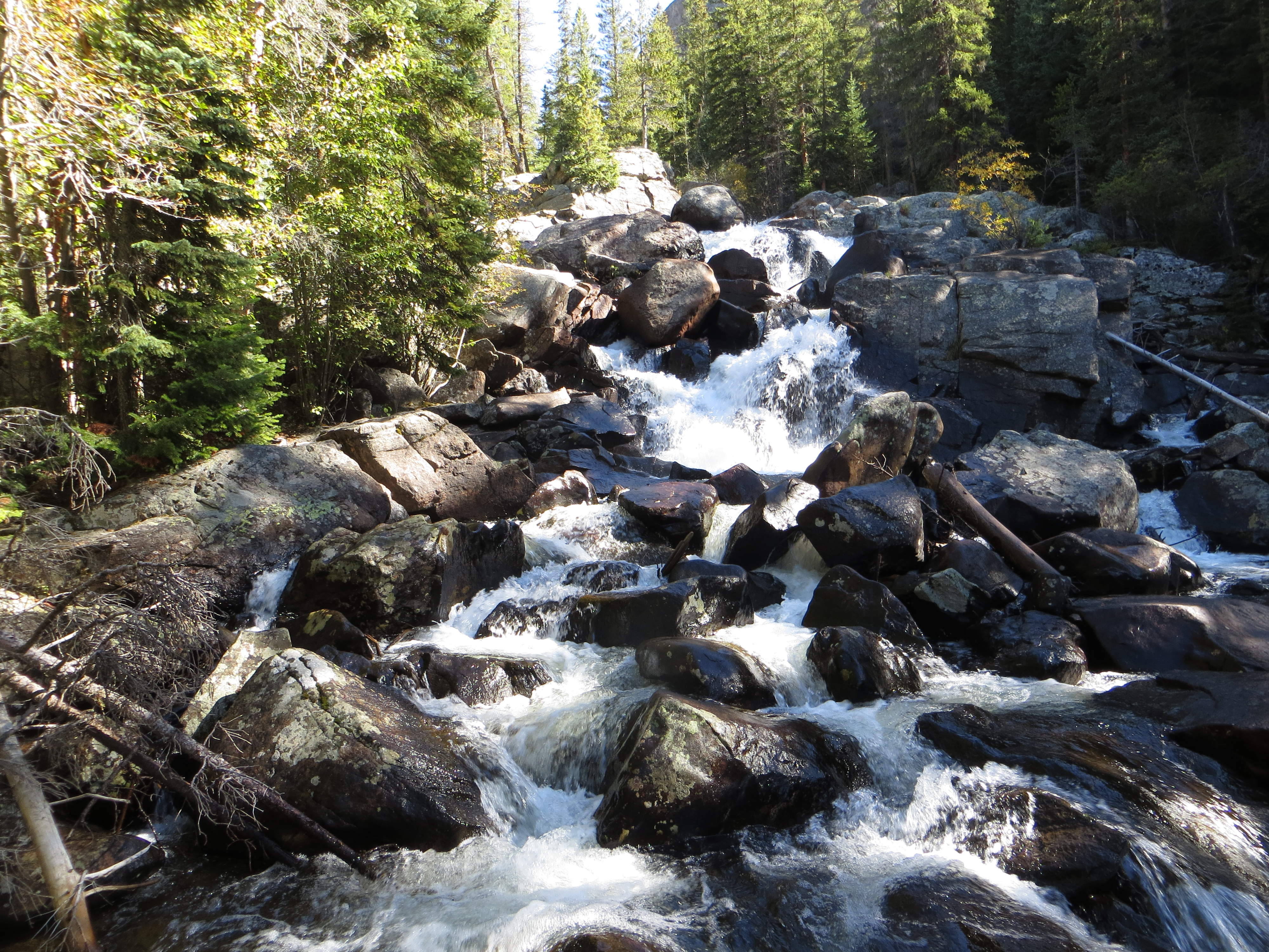 Cascade Falls - Colorado | AllTrails.com