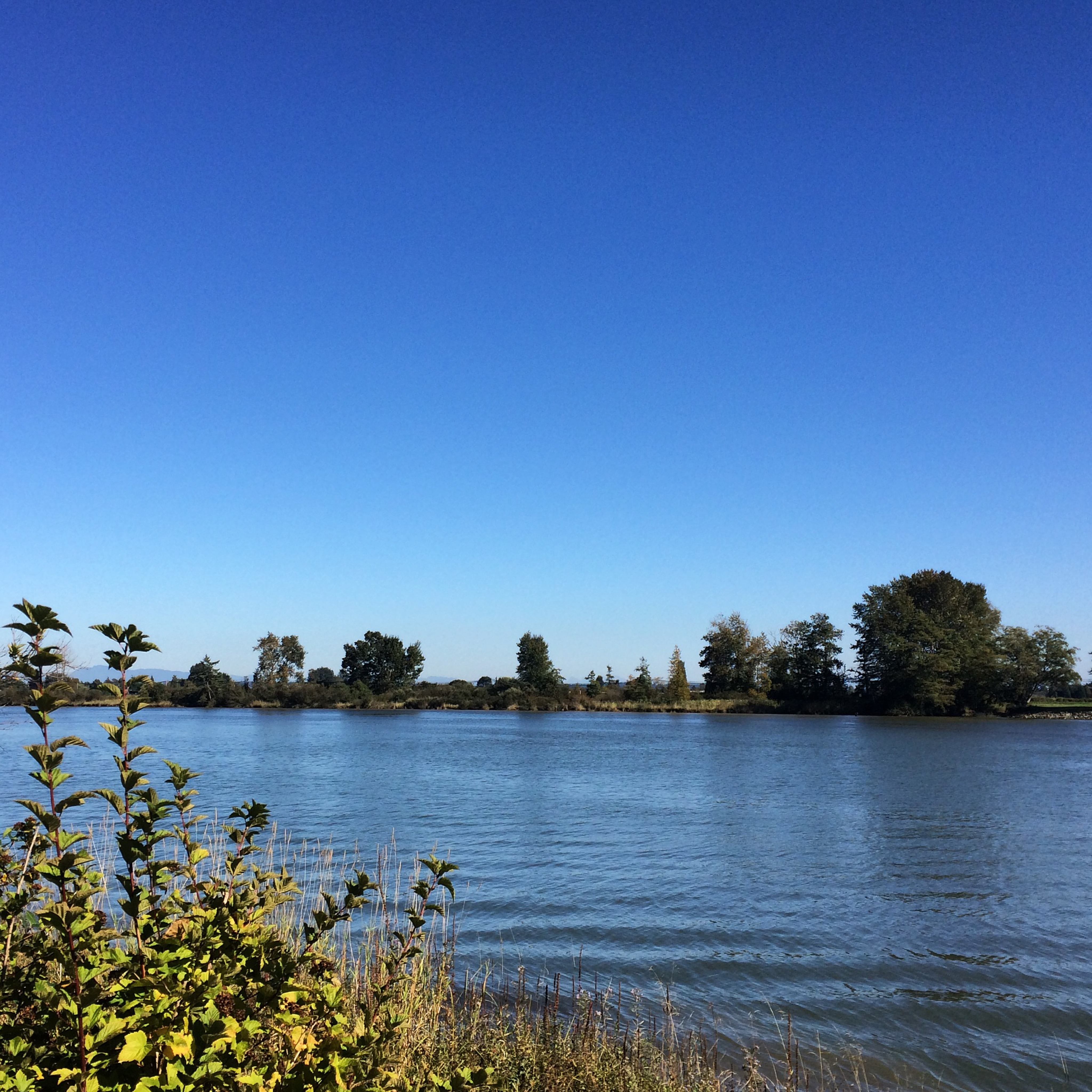 Deas Island British Columbia