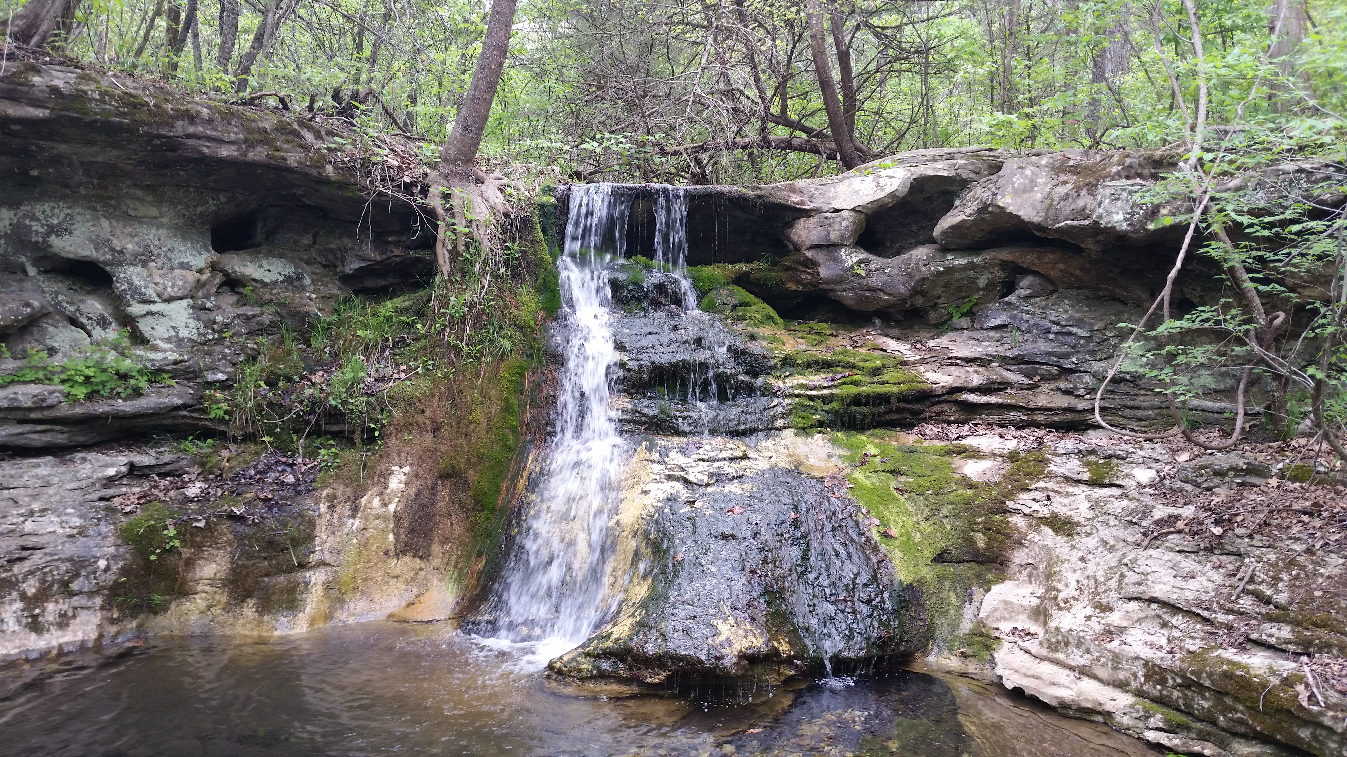 Arkansas Waterfalls | List | AllTrails.com