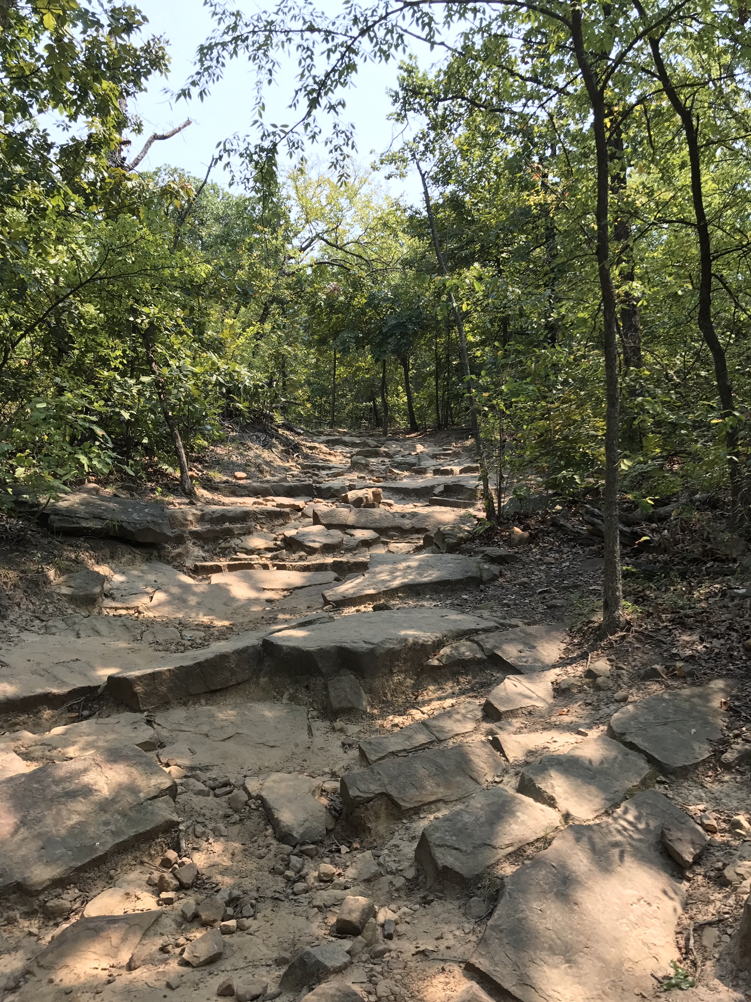 Turkey Mountain Blue Trail | Tulsa, OK - Week&