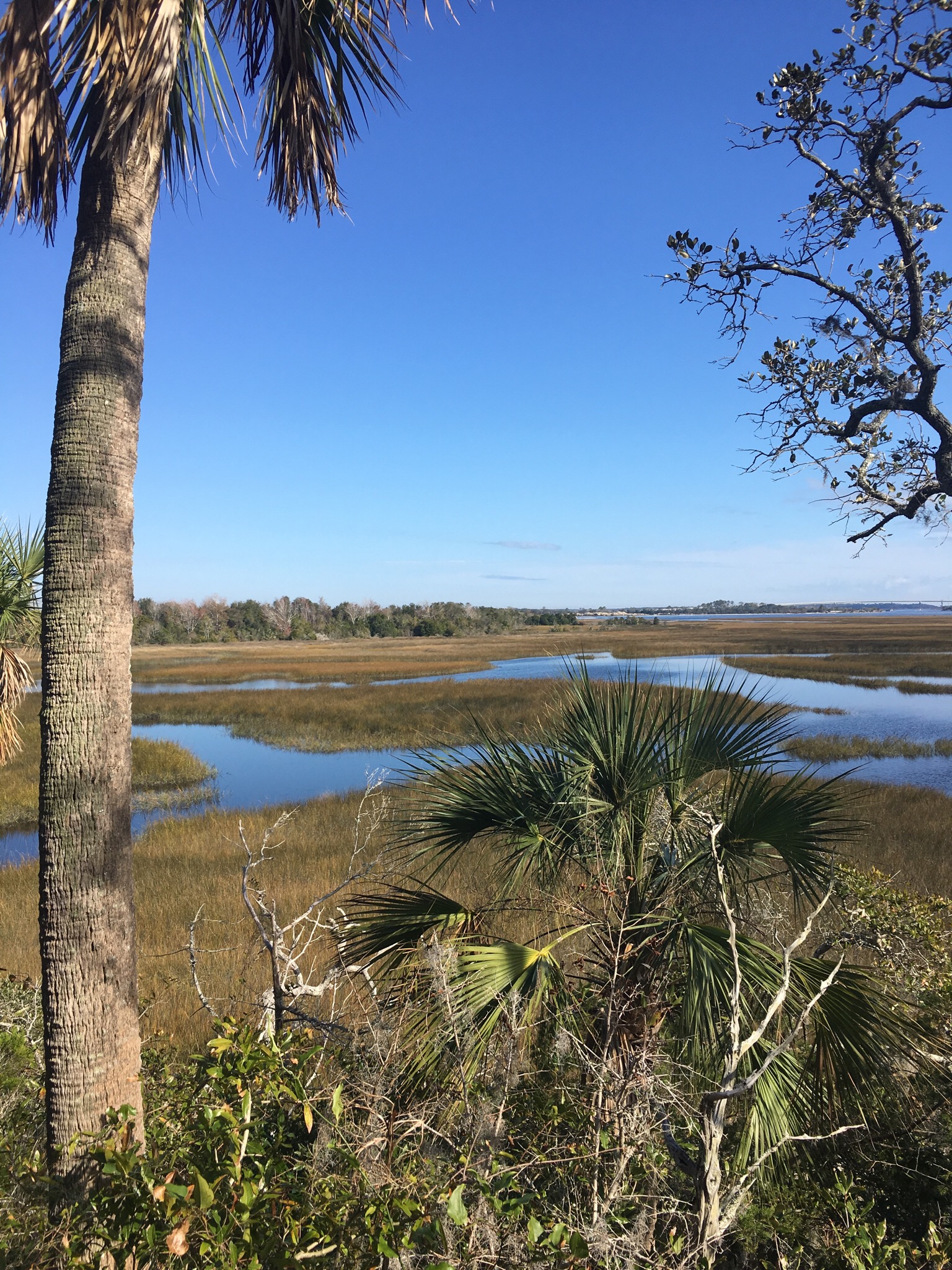 Spanish Pond Loop Trail | Jacksonville, FL - Week&