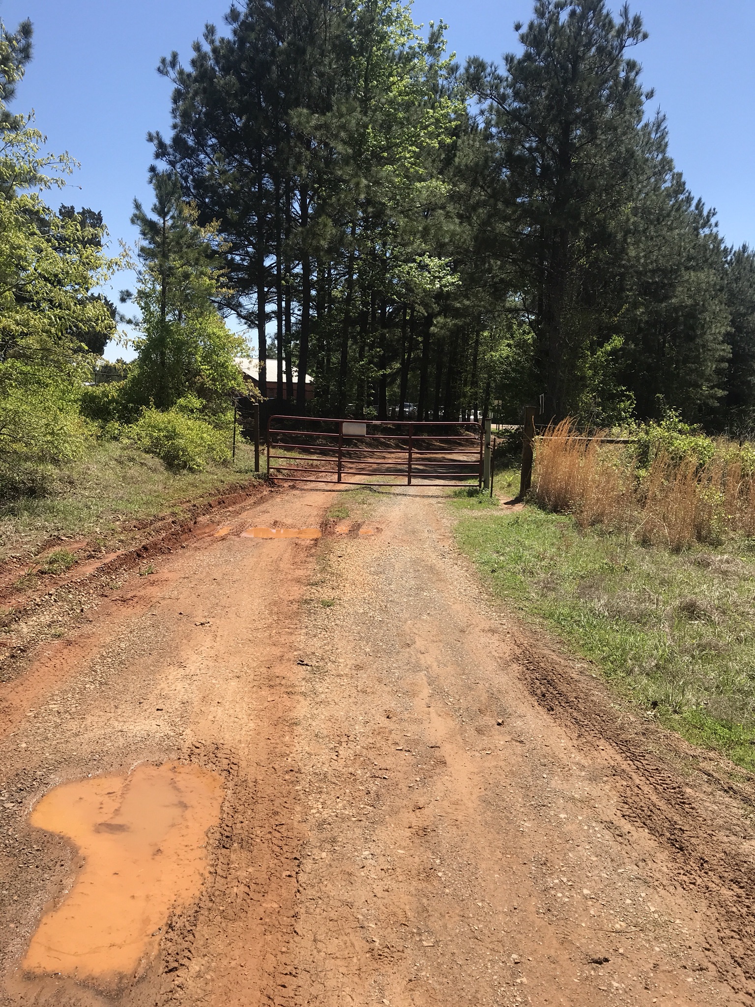 Driskill Mountain Trail Simsboro, LA Week&