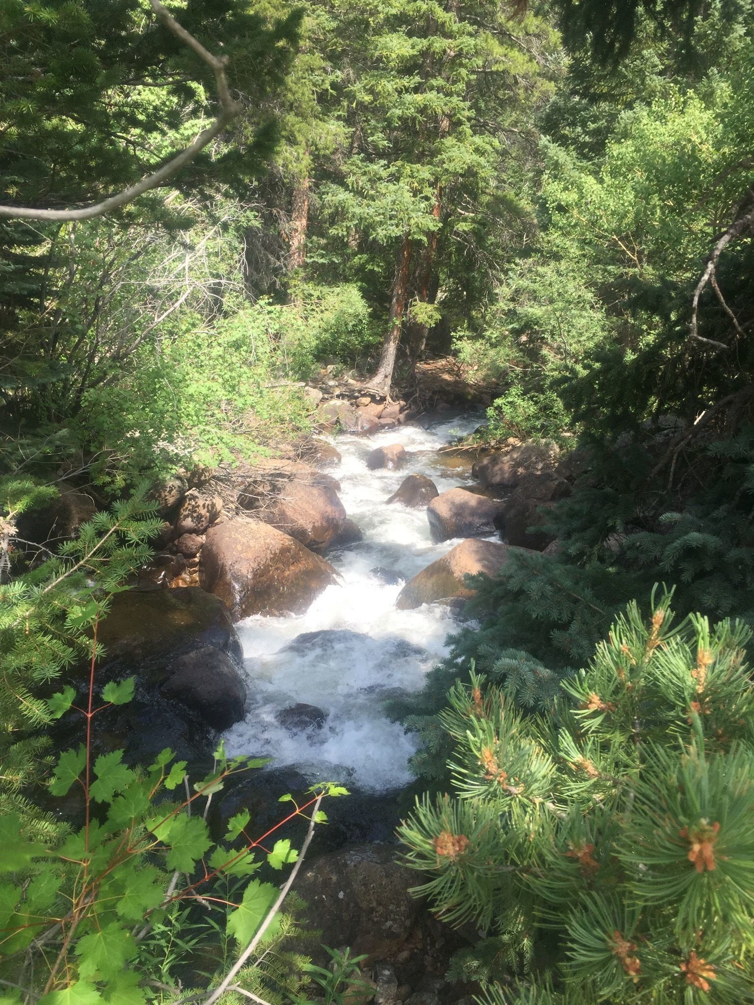 Caribou Trail Colorado AllTrails