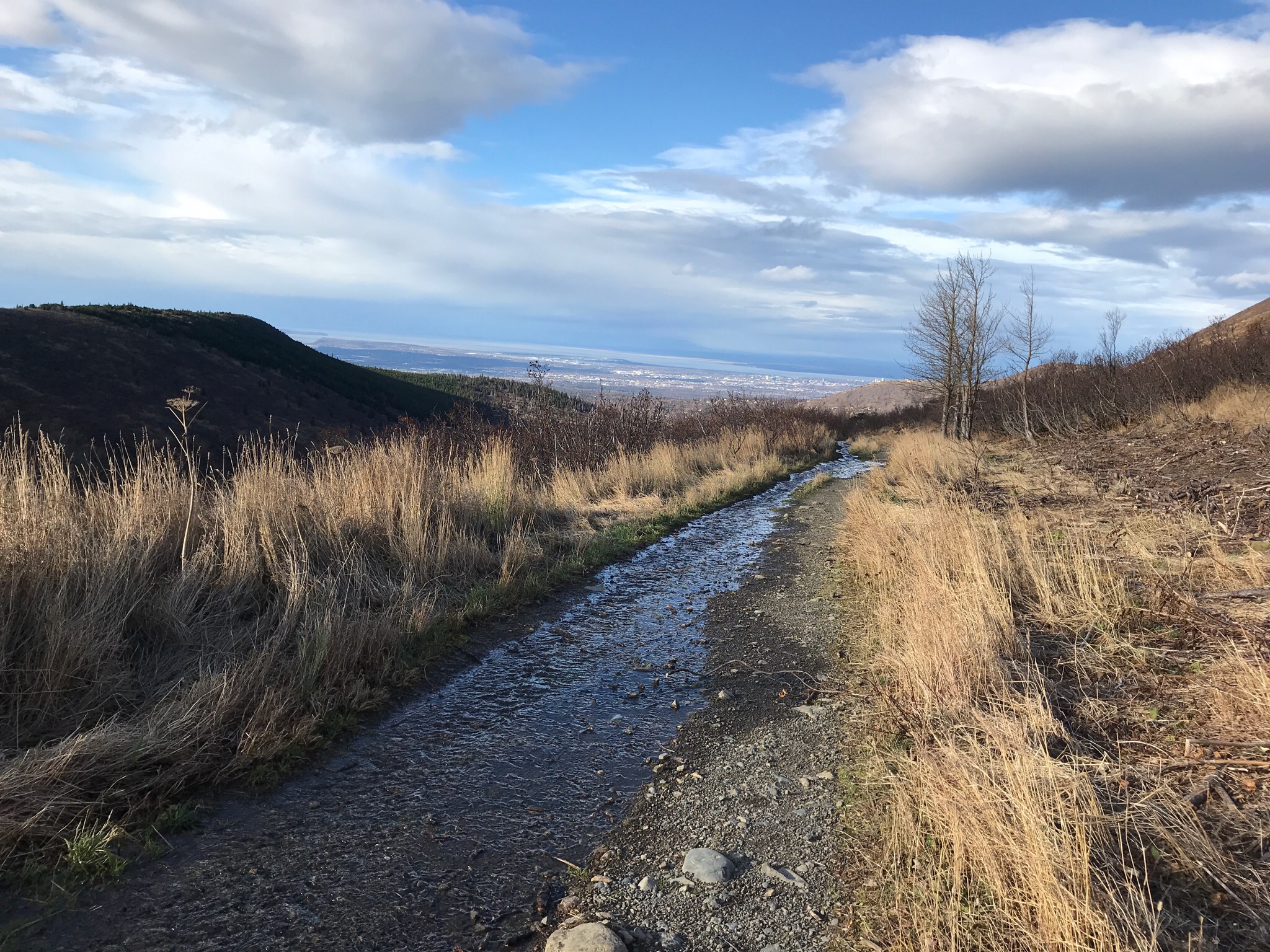 Rabbit Lake Trail Anchorage, AK Week&