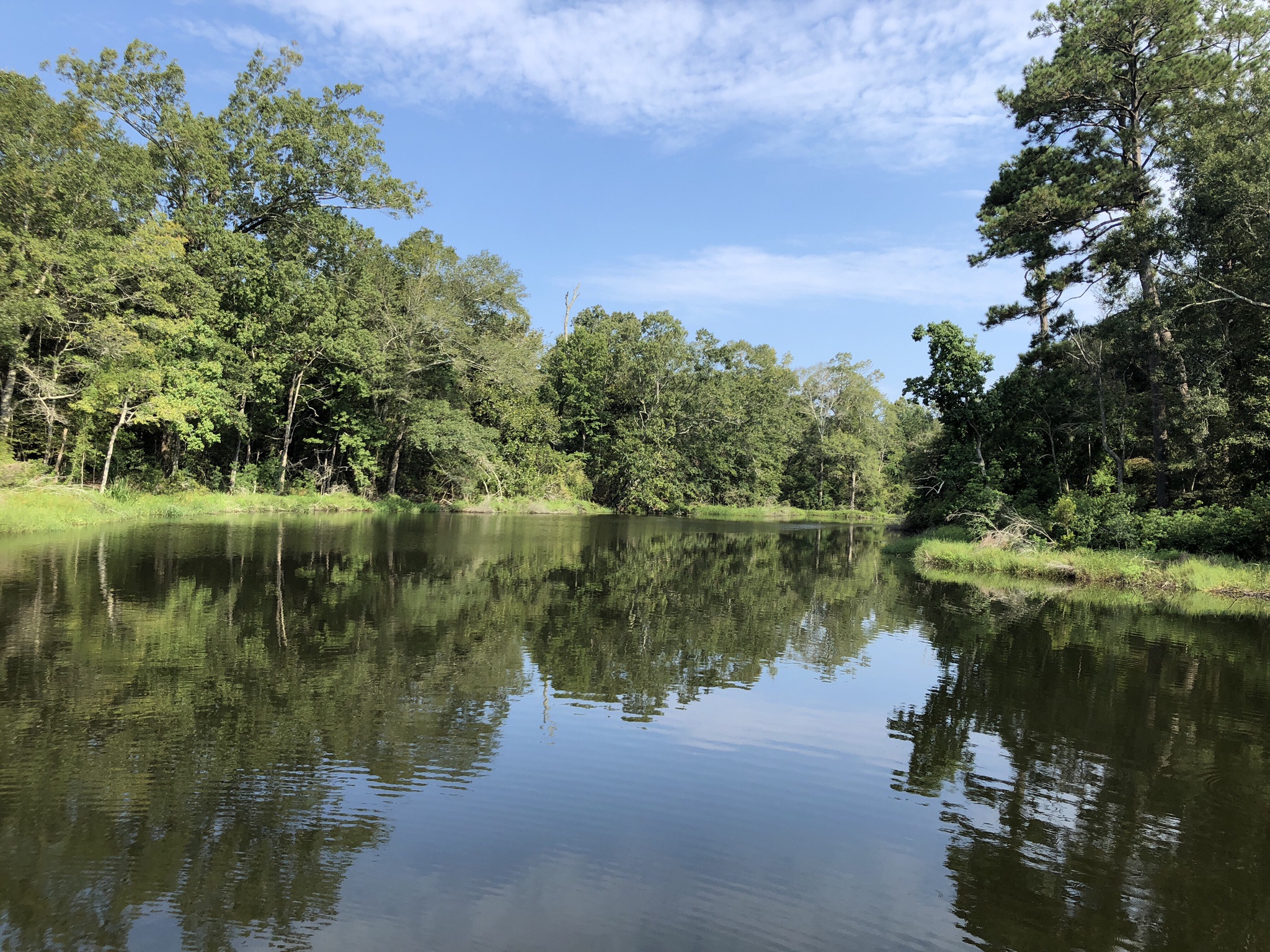 Cane Bayou Track Mandeville, LA Week&