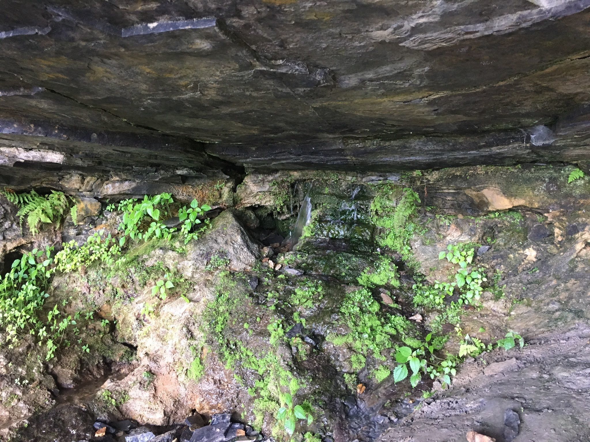 Indian Ladder Trail - New York | AllTrails