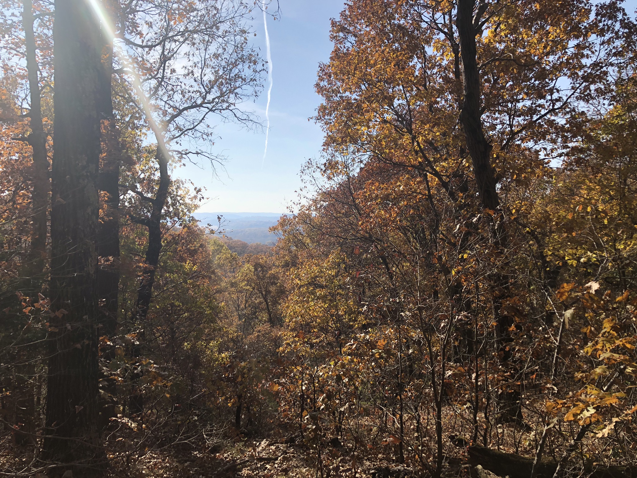 Flint Quarry and Chubb Trail Loop | Eureka, MO - Week&