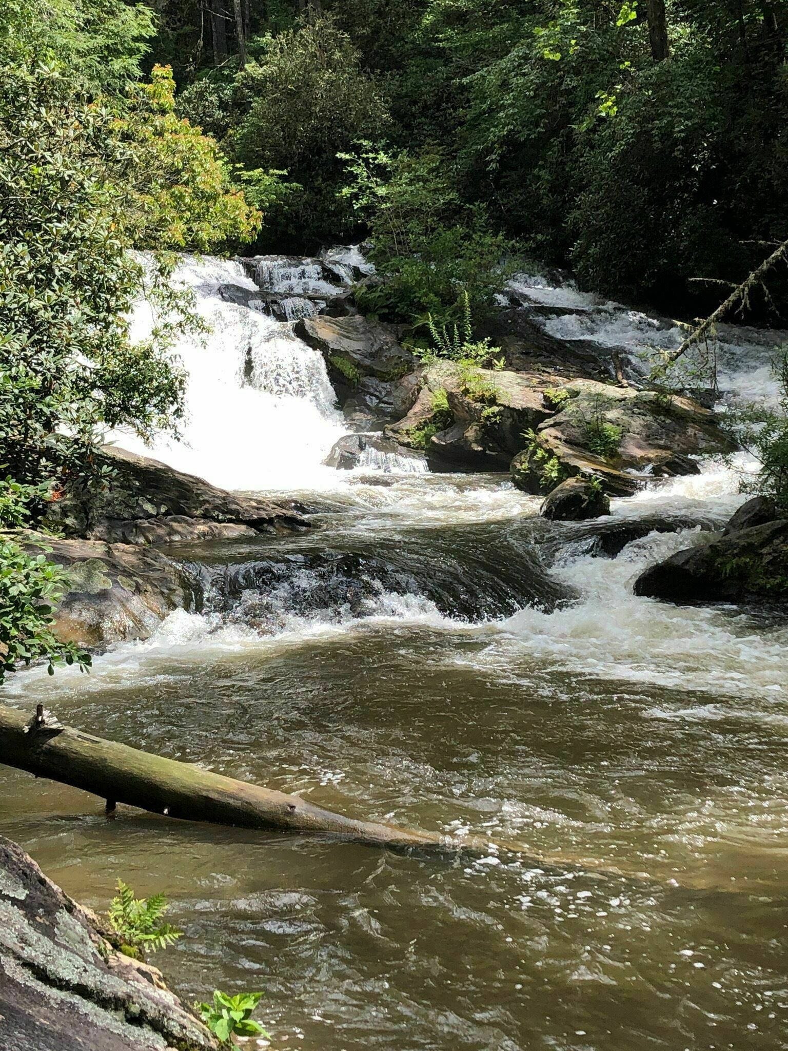 Three Forks Trail - Georgia | AllTrails