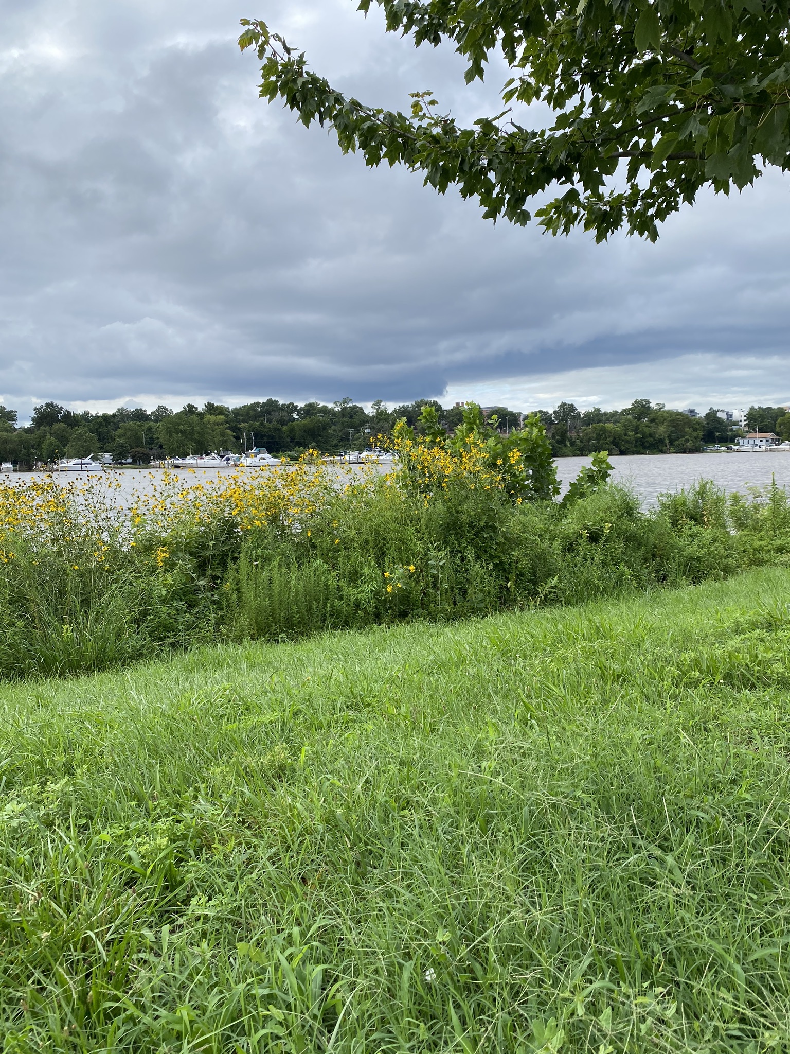 Anacostia Riverwalk Trail Section - C0e312a99d65f417da7a29b02fd0108e 