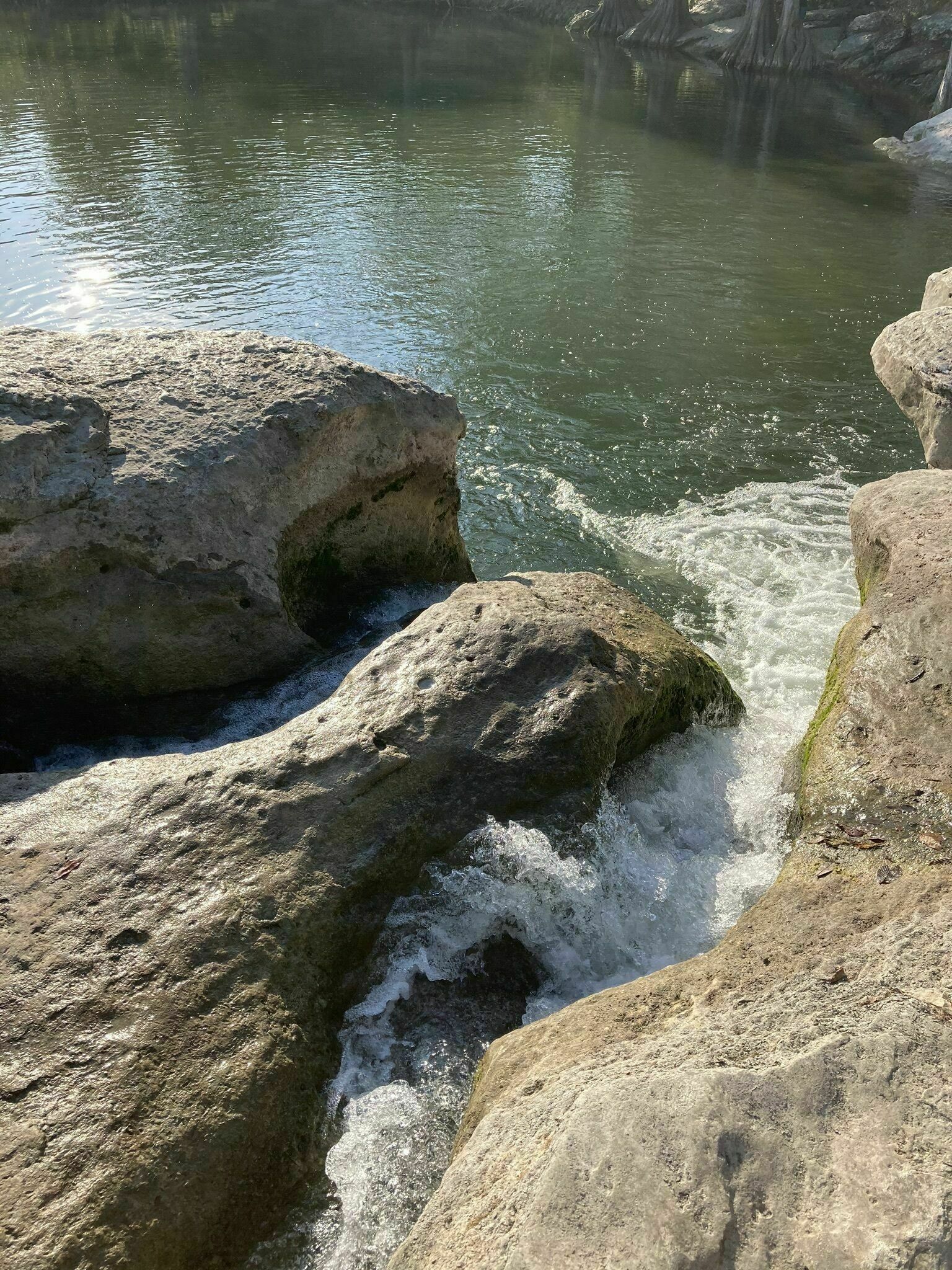 Onion Creek and Homestead Trail Loop Texas AllTrails