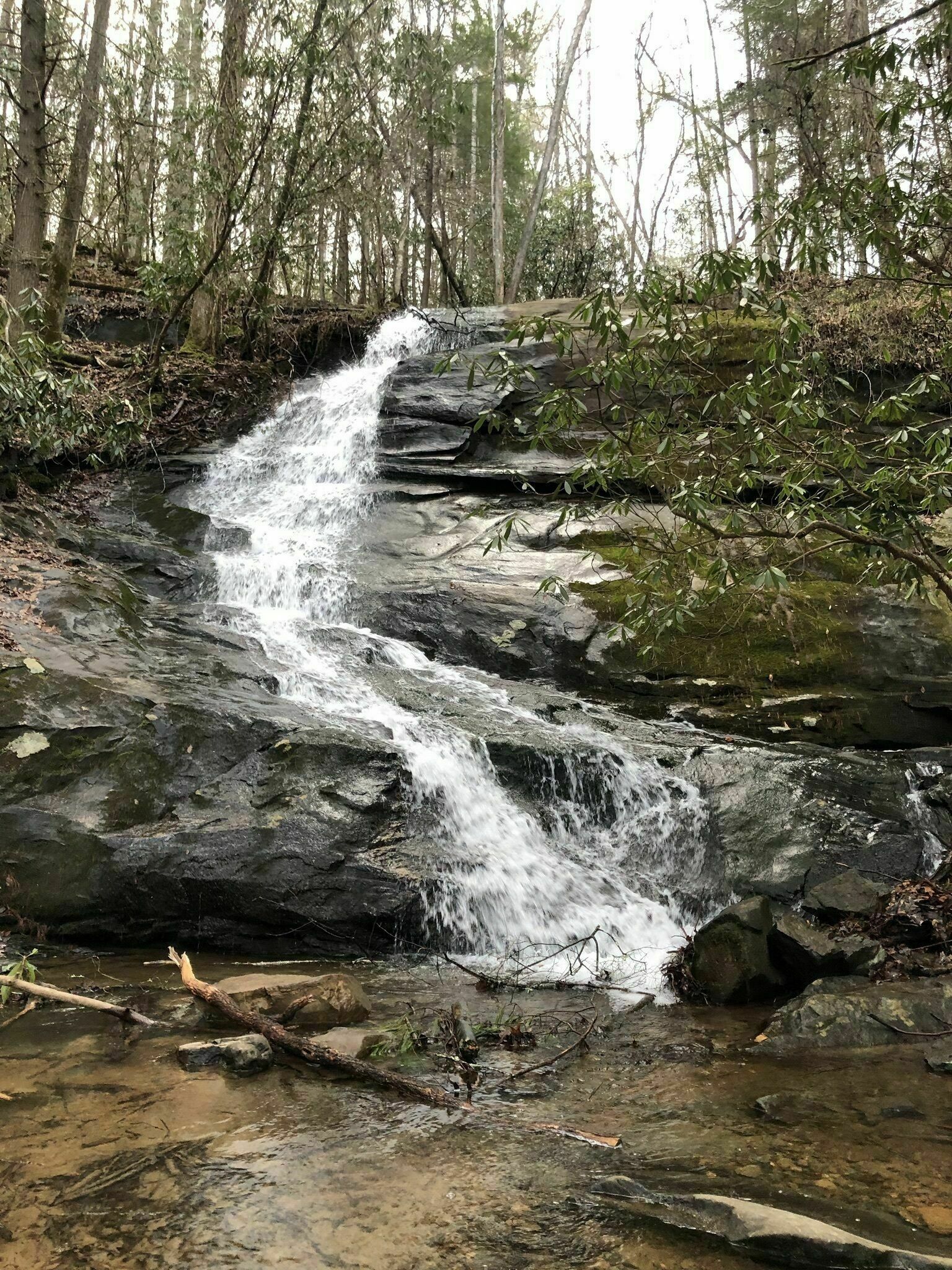 Fall Branch Falls Trail - Georgia | AllTrails