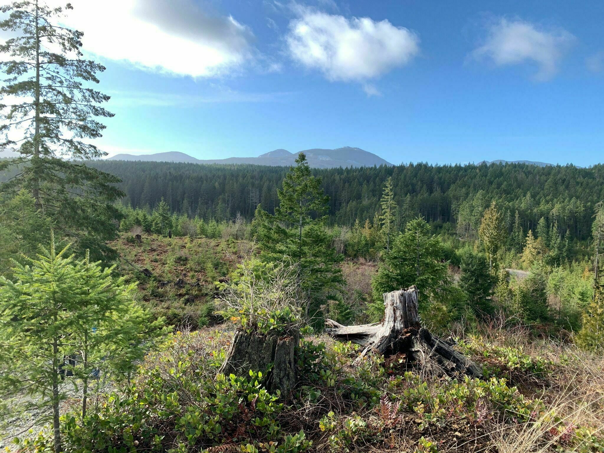 Crystal Lake and McKay Lake Loop British Columbia, Canada AllTrails