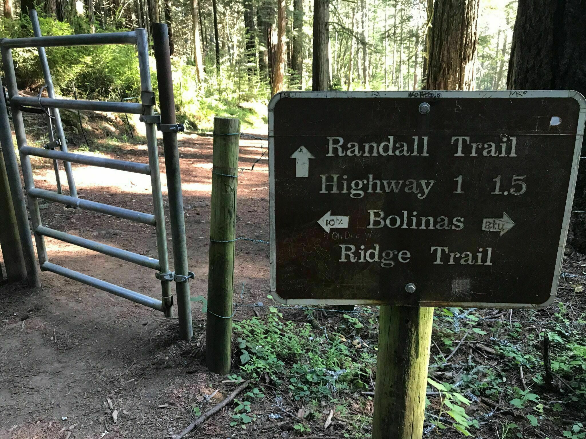 Bolinas Ridge Trail California AllTrails