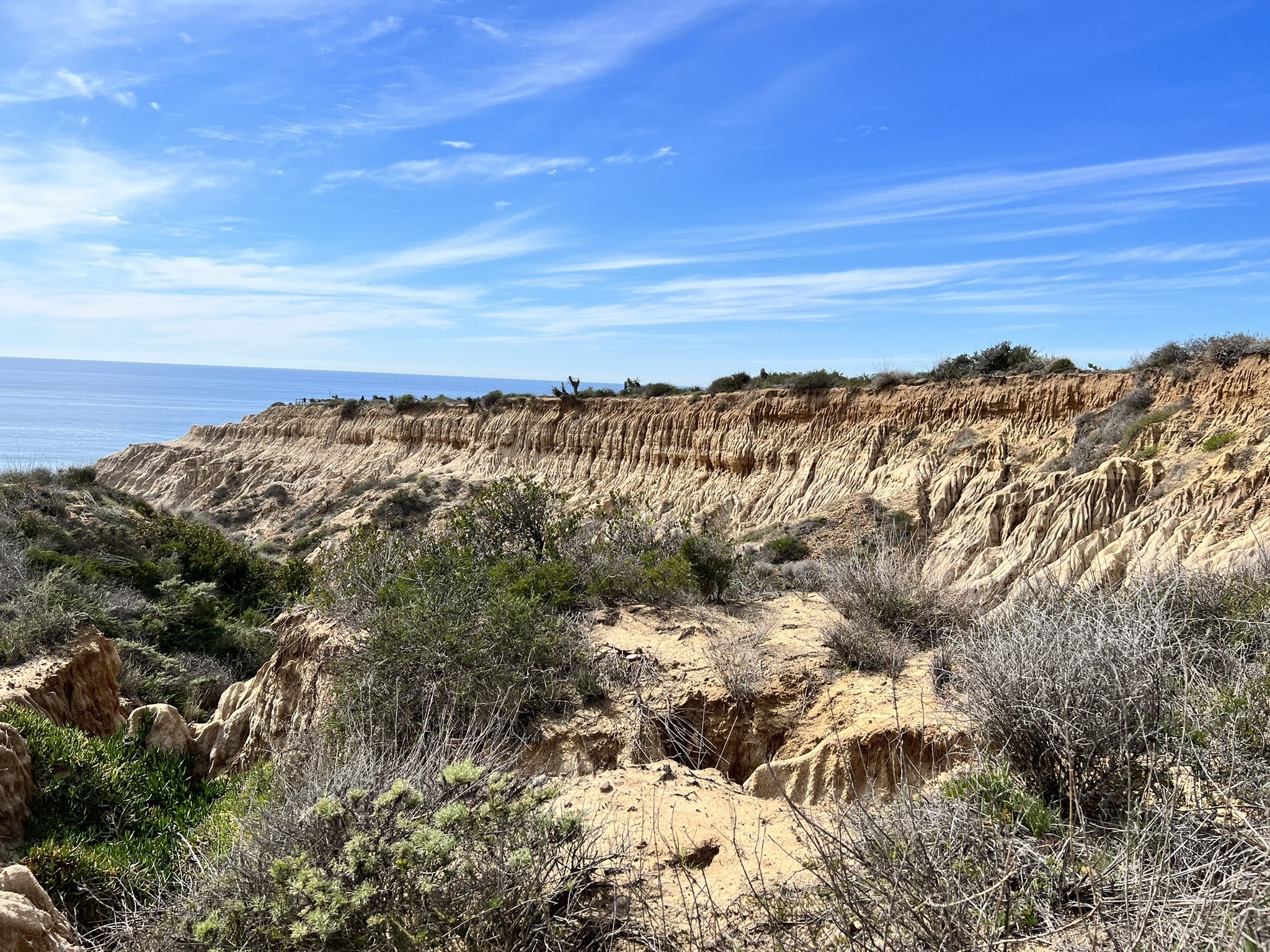 Torrey Pines Beach Trail Loop - Week&