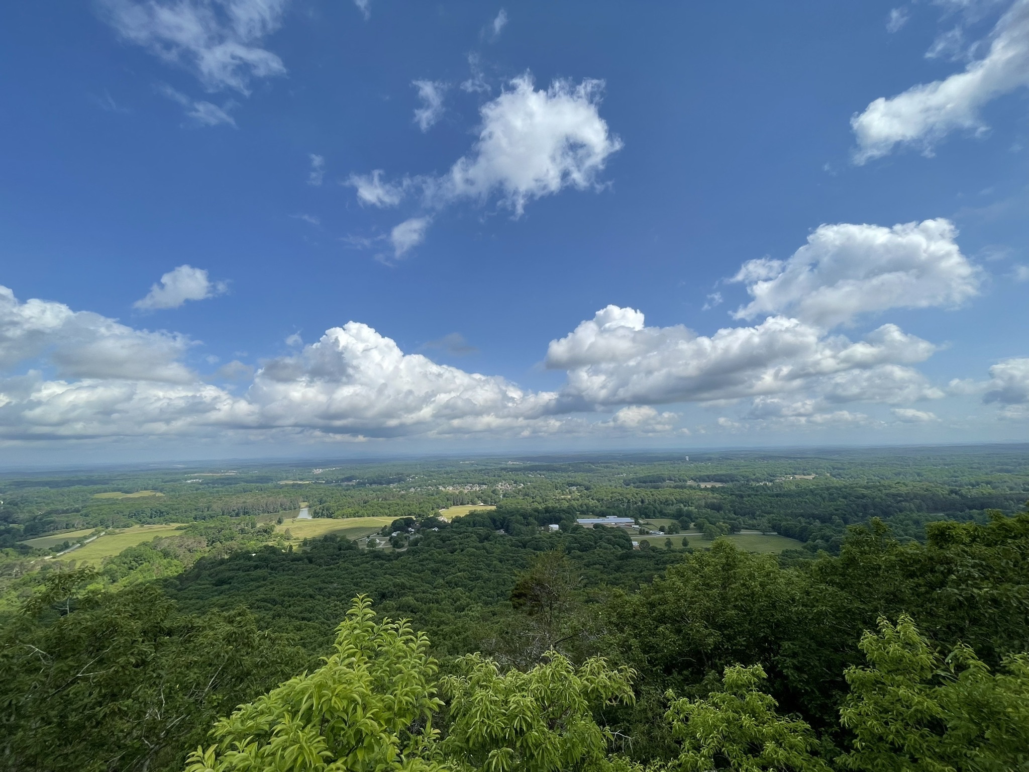 Indian Seats Trail Loop | Cumming, GA - Week&