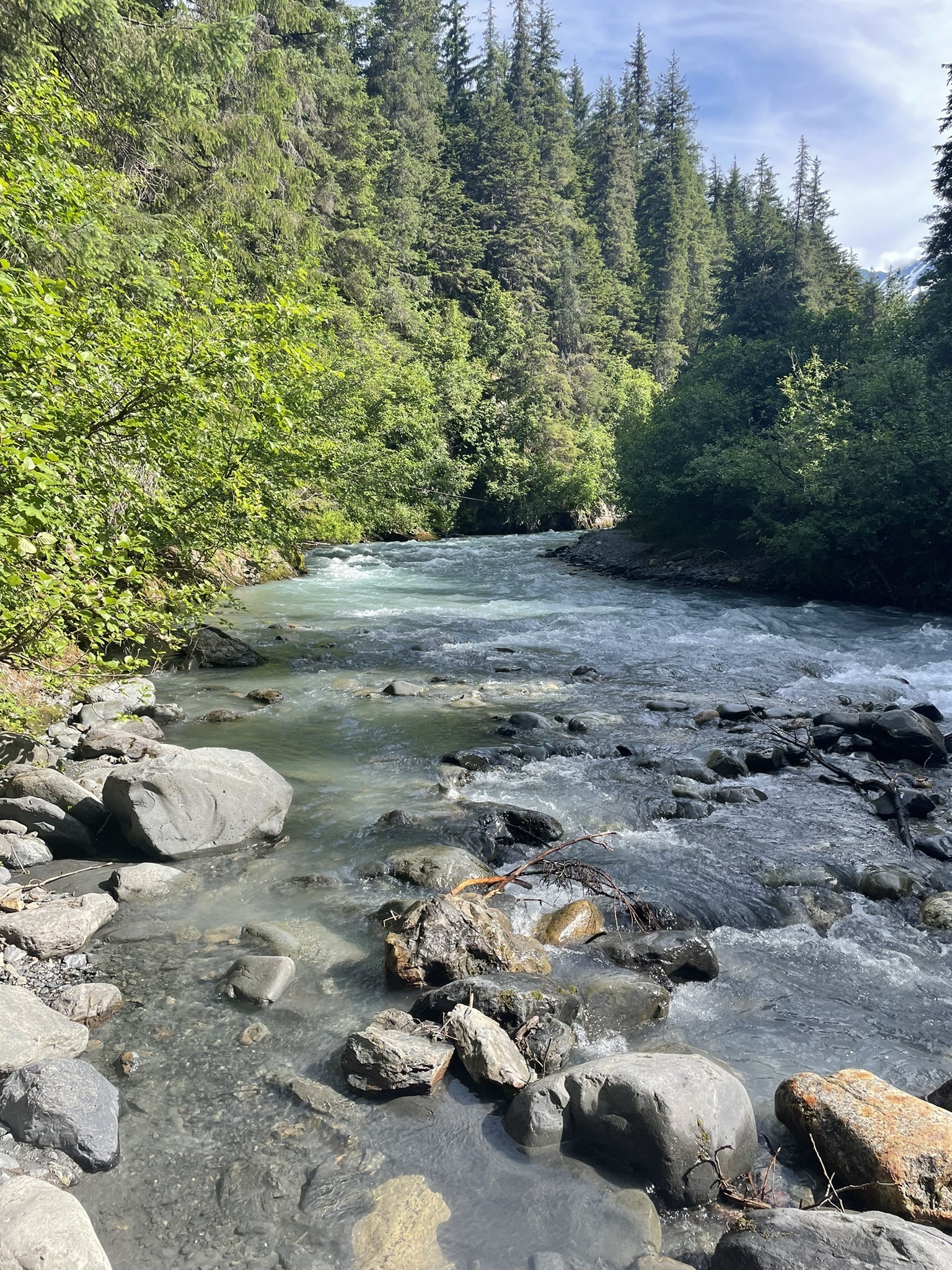 Winner Creek Trail | Anchorage, AK - Week&