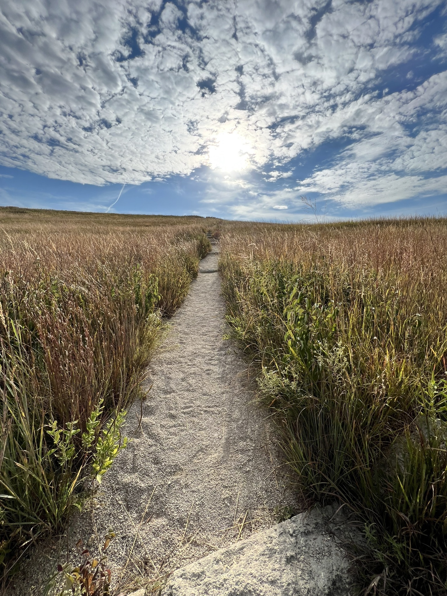 Konza Prairie Kings Creek Loop Trail Manhattan, KS Week&
